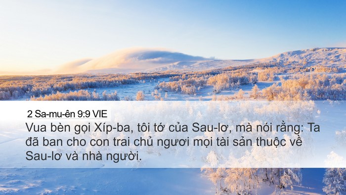 2 Sa-mu-ên 9:9 VIE Bible Verse Image