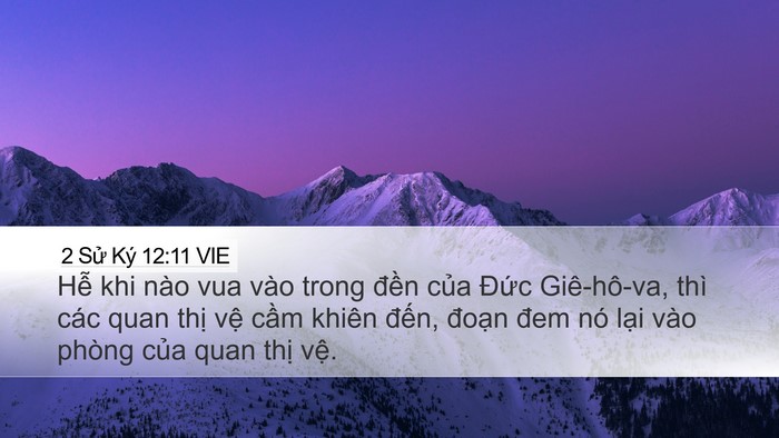 2 Sử Ký 12:11 VIE Desktop Wallpaper - Hễ khi nào vua vào trong đền của Đức - Desktop Bible Verse Wallpaper