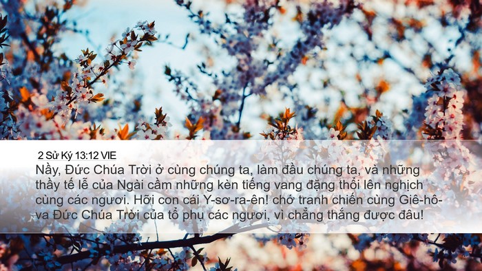 2 Sử Ký 13:12 VIE Bible Verse Image