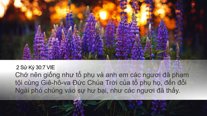 2 Sử Ký 30:7 VIE Bible Verse Image