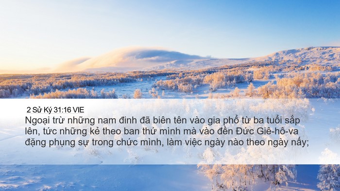2 Sử Ký 31:16 VIE Desktop Wallpaper - Ngoại trừ những nam đinh đã biên tên - Desktop Bible Verse Wallpaper