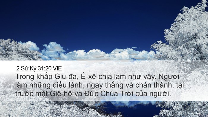 2 Sử Ký 31:20 VIE Bible Verse Image