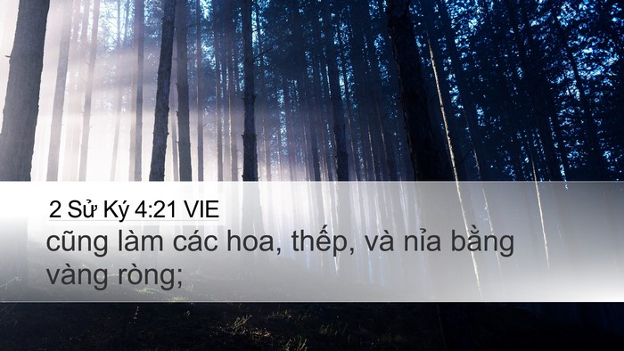2 Sử Ký 4:21 VIE Bible Verse Image