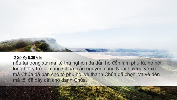2 Sử Ký 6:38 VIE Bible Verse Image
