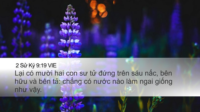 2 Sử Ký 9:19 VIE Desktop Wallpaper - Lại có mười hai con sư tử đứng trên - Desktop Bible Verse Wallpaper
