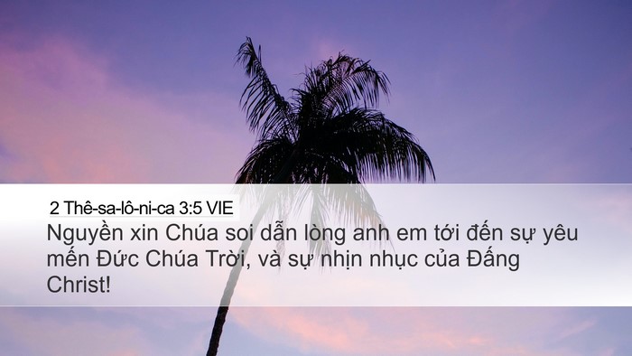 2 Thê-sa-lô-ni-ca 3:5 VIE Bible Verse Image