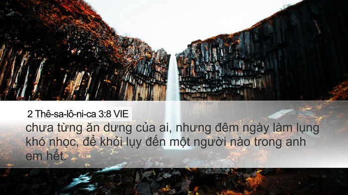 2 Thê-sa-lô-ni-ca 3:8 VIE Bible Verse Image