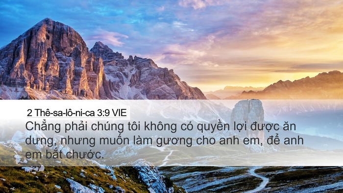 2 Thê-sa-lô-ni-ca 3:9 VIE Bible Verse Image