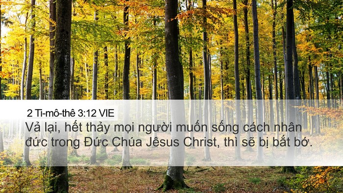 2 Ti-mô-thê 3:12 VIE Bible Verse Image
