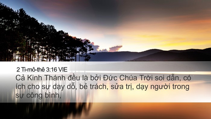2 Ti-mô-thê 3:16 VIE Bible Verse Image