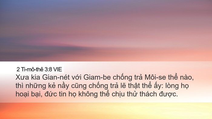 2 Ti-mô-thê 3:8 VIE Bible Verse Image