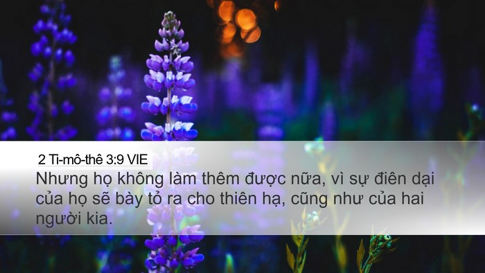 2 Ti-mô-thê 3:9 VIE Bible Verse Image