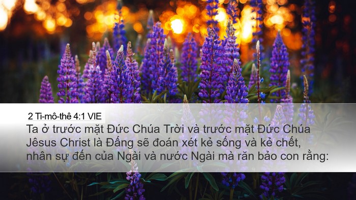 2 Ti-mô-thê 4:1 VIE Bible Verse Image