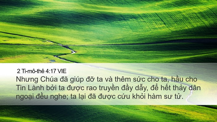 2 Ti-mô-thê 4:17 VIE Bible Verse Image