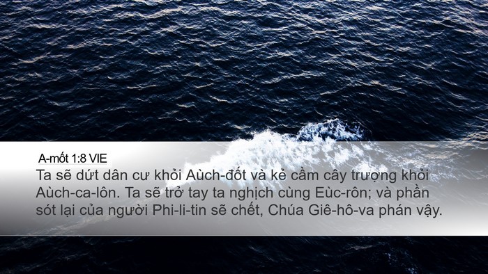 A-mốt 1:8 VIE Bible Verse Image