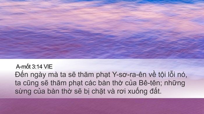 A-mốt 3:14 VIE Bible Verse Image