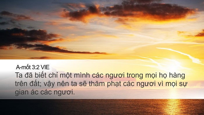 A-mốt 3:2 VIE Bible Verse Image