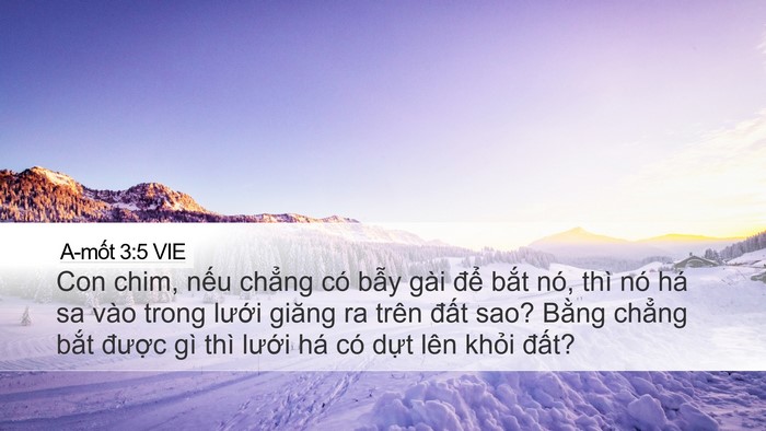 A-mốt 3:5 VIE Bible Verse Image