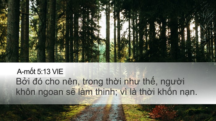 A-mốt 5:13 VIE Bible Verse Image
