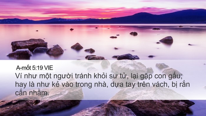 A-mốt 5:19 VIE Bible Verse Image