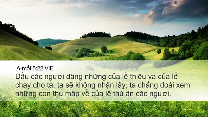 A-mốt 5:22 VIE Bible Verse Image