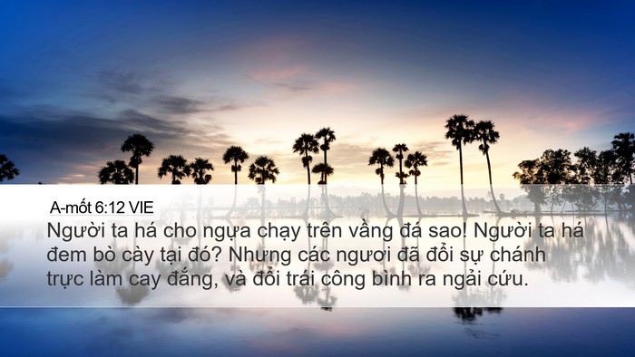 A-mốt 6:12 VIE Bible Verse Image
