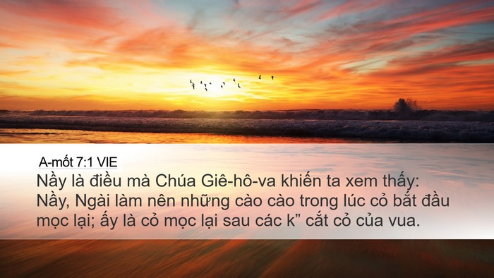 A-mốt 7:1 VIE Bible Verse Image