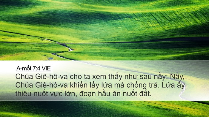 A-mốt 7:4 VIE Bible Verse Image