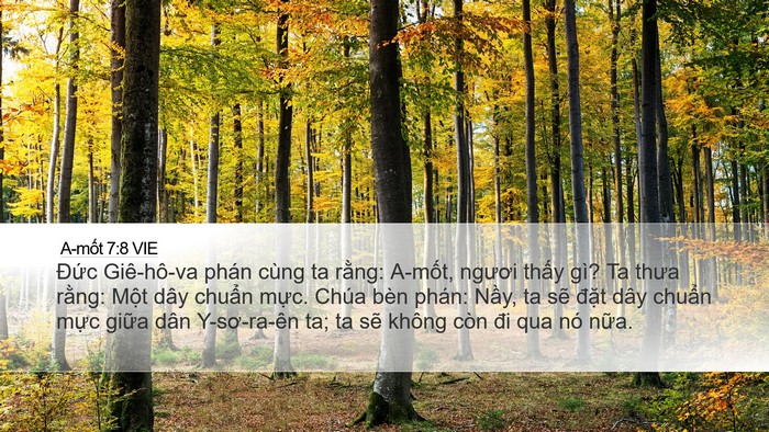 A-mốt 7:8 VIE Bible Verse Image
