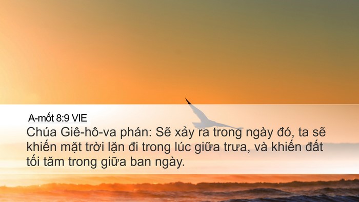 A-mốt 8:9 VIE Bible Verse Image