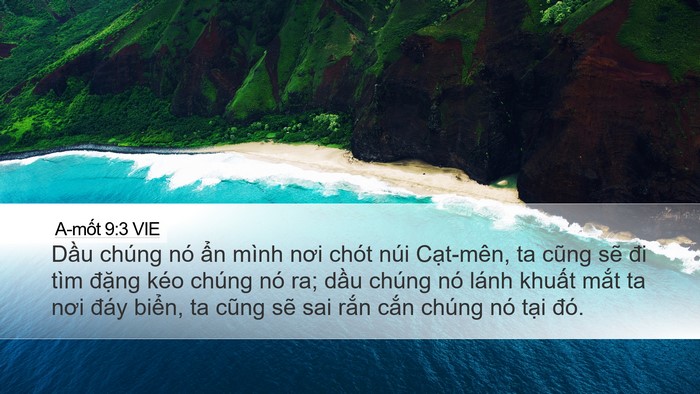 A-mốt 9:3 VIE Bible Verse Image