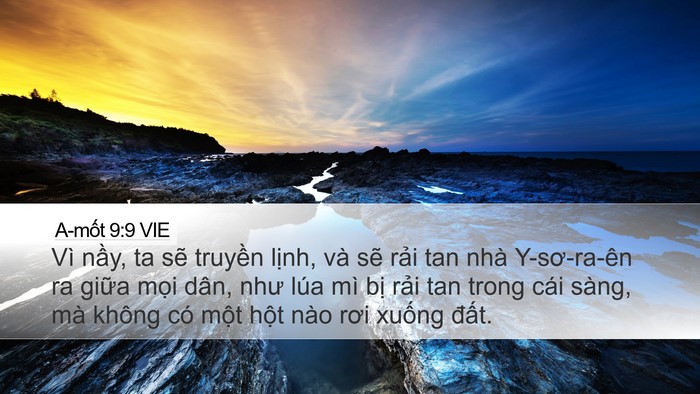 A-mốt 9:9 VIE Bible Verse Image