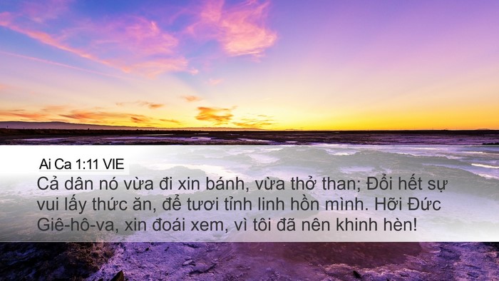 Ai Ca 1:11 VIE Bible Verse Image