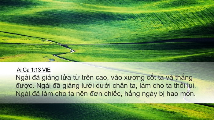 Ai Ca 1:13 VIE Bible Verse Image