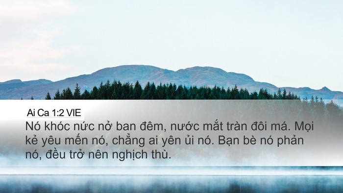 Ai Ca 1:2 VIE Bible Verse Image