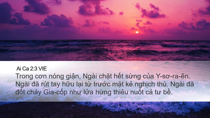 Ai Ca 2:3 VIE Bible Verse Image