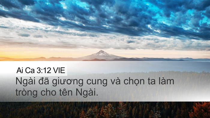 Ai Ca 3:12 VIE Bible Verse Image