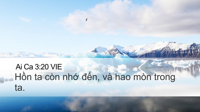 Ai Ca 3:20 VIE Bible Verse Image
