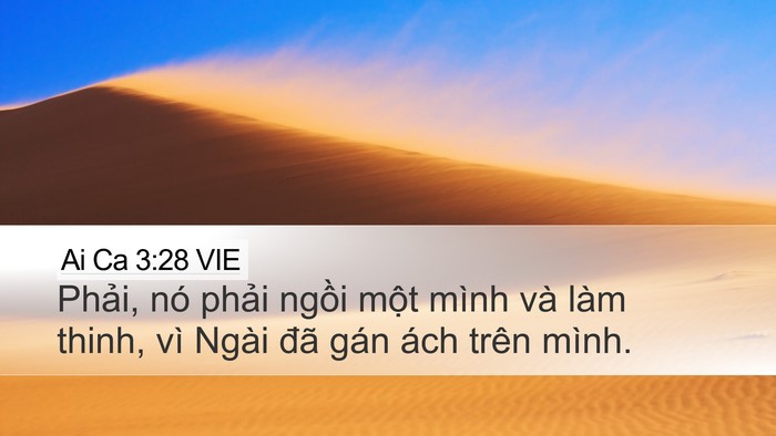 Ai Ca 3:28 VIE Bible Verse Image