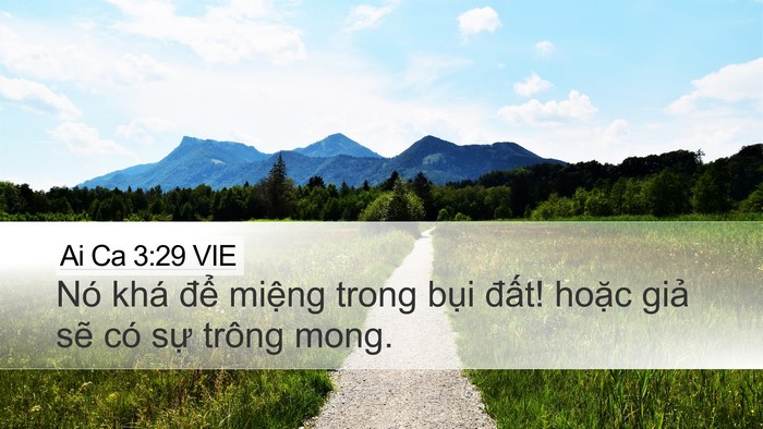 Ai Ca 3:29 VIE Bible Verse Image