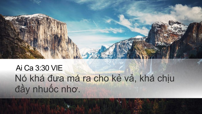 Ai Ca 3:30 VIE Bible Verse Image