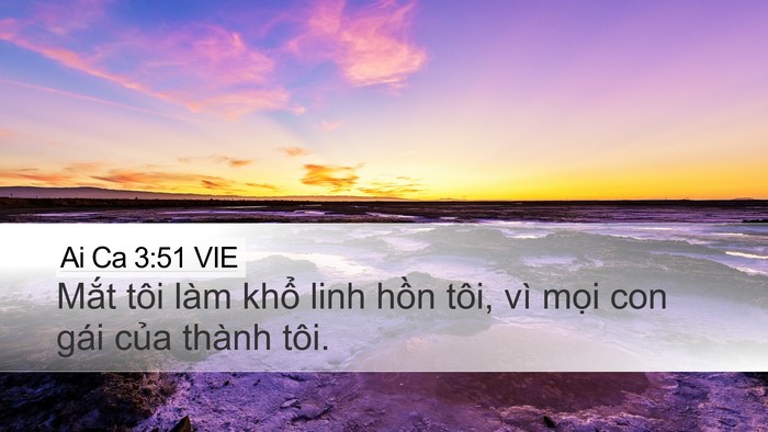 Ai Ca 3:51 VIE Bible Verse Image