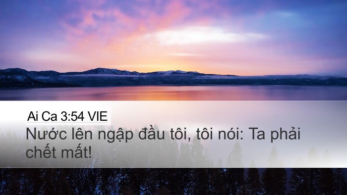 Ai Ca 3:54 VIE Bible Verse Image