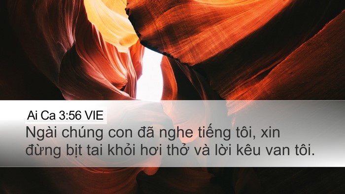 Ai Ca 3:56 VIE Desktop Wallpaper - Ngài chúng con đã nghe tiếng tôi, xin - Desktop Bible Verse Wallpaper