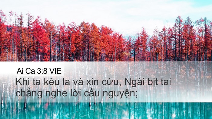 Ai Ca 3:8 VIE Bible Verse Image