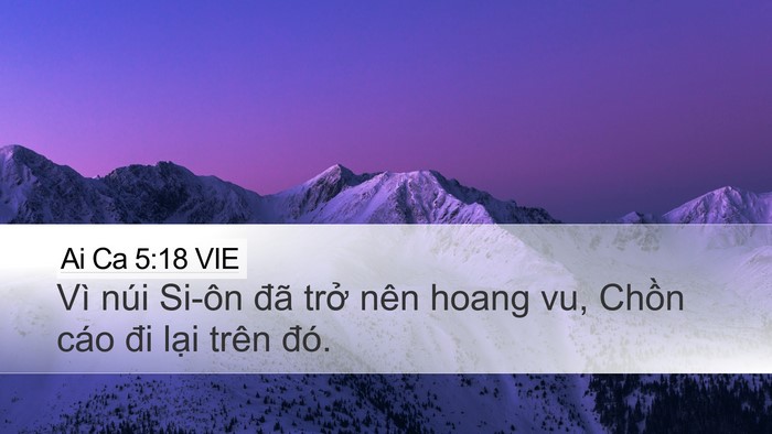Ai Ca 5:18 VIE Bible Verse Image