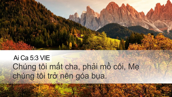 Ai Ca 5:3 VIE Bible Verse Image