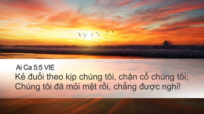 Ai Ca 5:5 VIE Bible Verse Image