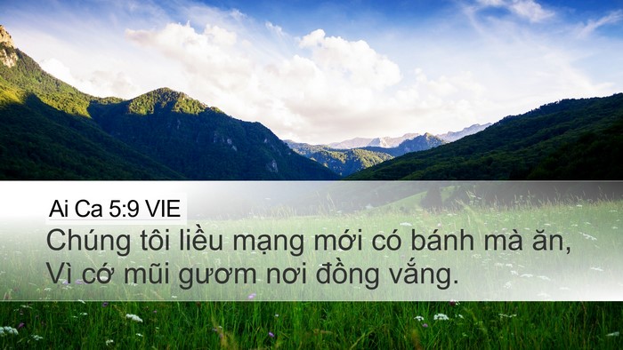 Ai Ca 5:9 VIE Bible Verse Image