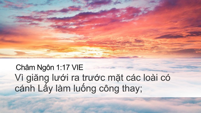 Châm Ngôn 1:17 VIE Bible Verse Image